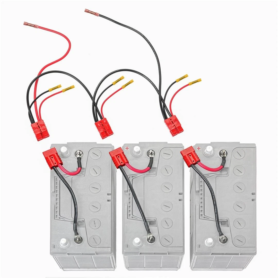 High Cranking RV Bundle 36V (3x DL+12V60Ah) + 36V Charger & 36VWiring Kit - Image 2